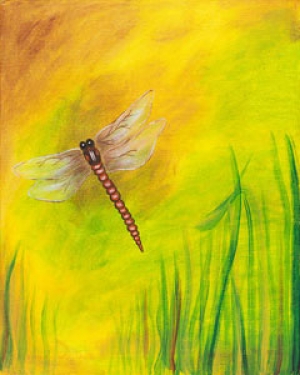 dragonfly dreams