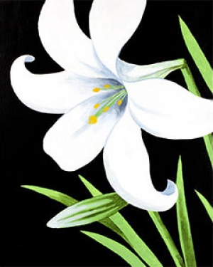 easter lily
