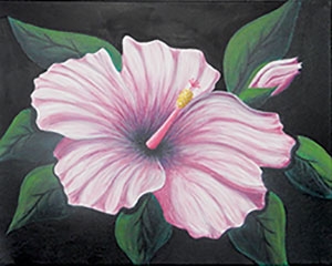 hibiscus i