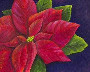 red poinsettia