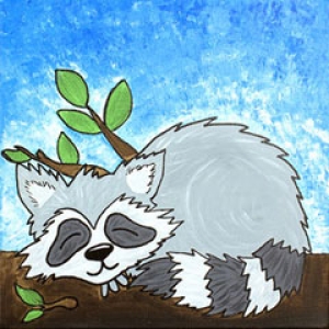 snoozing raccoon (1)
