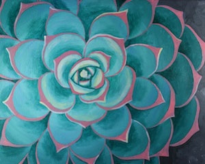 succulent i